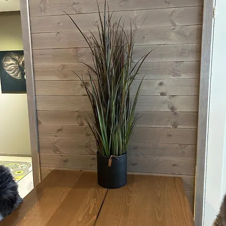 Gorgeous In Geilo Apartamento Hol (Buskerud)